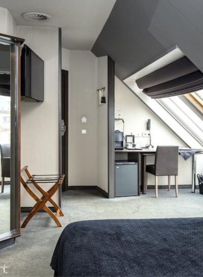 karel de stoute gent